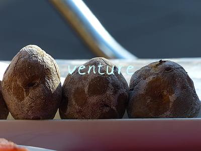 venture