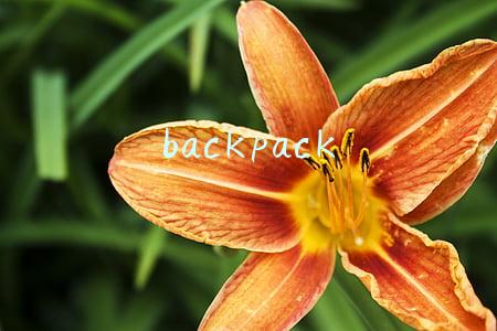 backpack