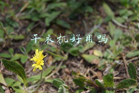 干衣机好用吗
