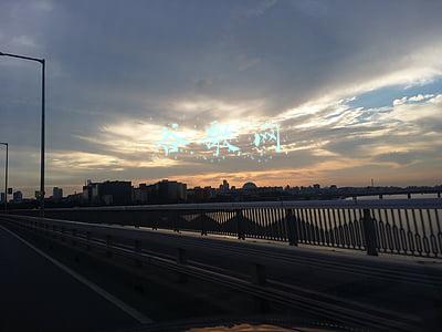 谷歌网