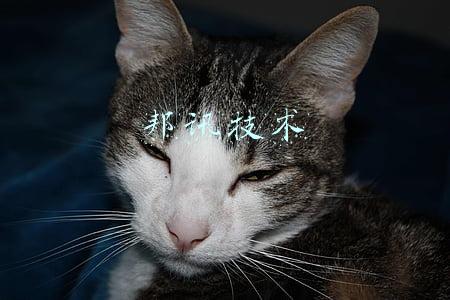 邦讯技术