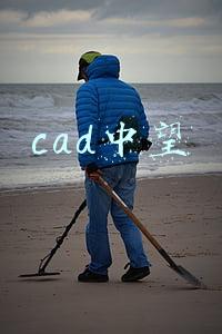 cad中望