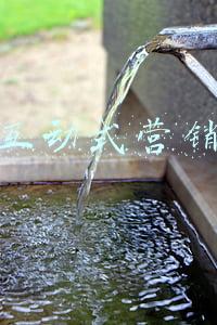 互动式营销