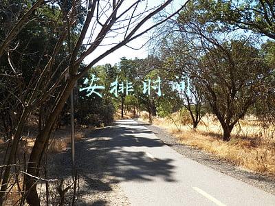 安排时间