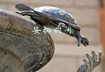 安排时间