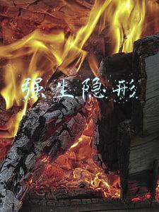 强生隐形
