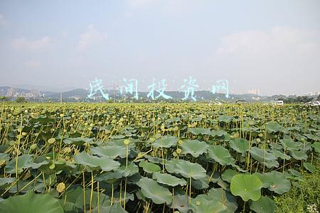 民间投资平台(北京今年首批民间资本项目推介启动，总投资达1456亿元)
