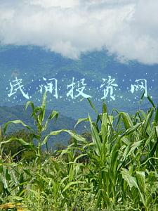 民间投资网