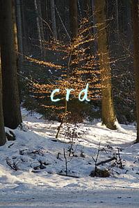 crd