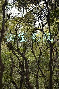 淘宝网首页官网(京东开始内测新首页：取消焦点图)