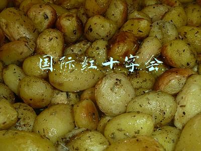 国际红十字会