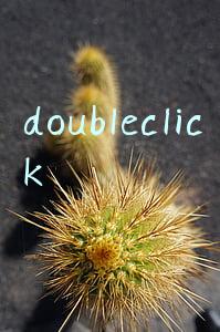 doubleclick