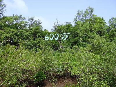 600万