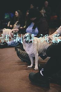 调制解调器