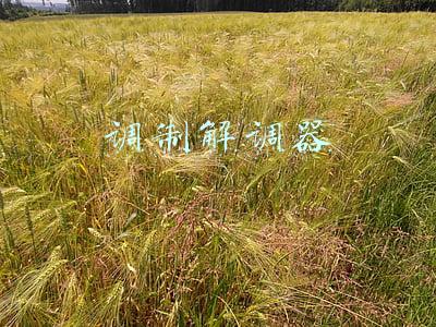 调制解调器