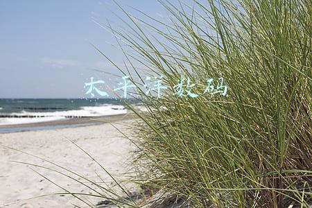 太平洋数码