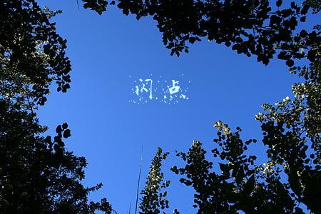 闪点