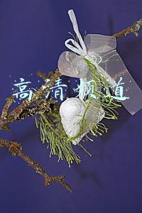 高清频道