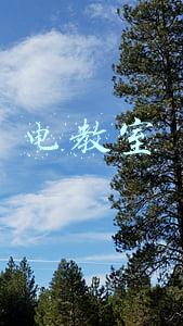 电教室