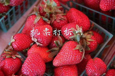 机票打折网