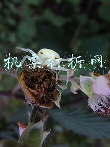 机票打折网