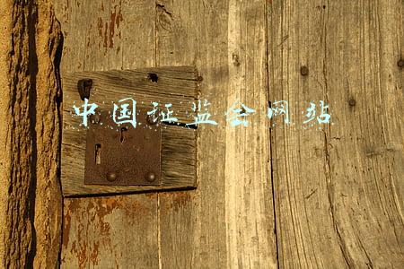 中国证监会网站