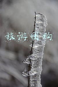 旅游团购网(劲旅网发布2月份主要网站在线酒店团购产品丰富度监测)