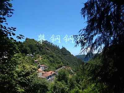 攀钢钢钒