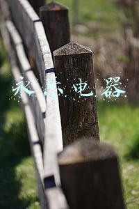 永乐电器
