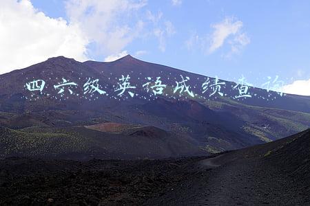 四六级英语成绩查询