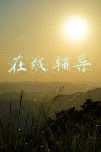 在线辅导答疑平台(在线教学的问题与改进)