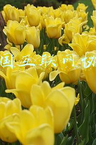 中国互联网协会