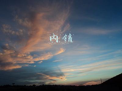 内销