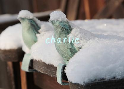 charlie