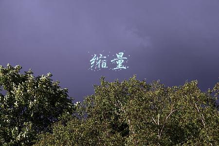 缩量