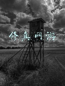 修真网游小说 排行榜(回顾网文20年，十大最火的网游小说，还有多少是你心中的经典？)
