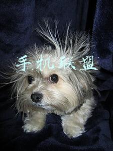 手机联盟