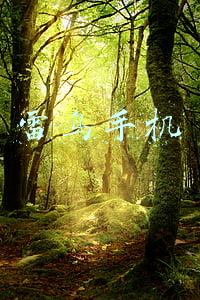 雷鸟手机