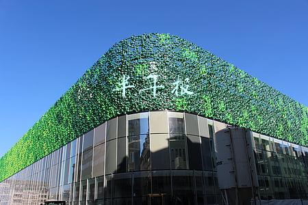 半年报预披露时间规定(作为股市投资者，上市公司季报、年报的披露时间规定您清楚吗)