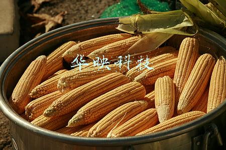 华映科技