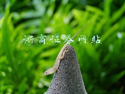 浙商证券网站