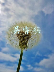 吴睿鸫 送货到家(“送货到门”不应沦为一种“制度花瓶”)