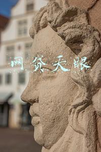 网贷天眼
