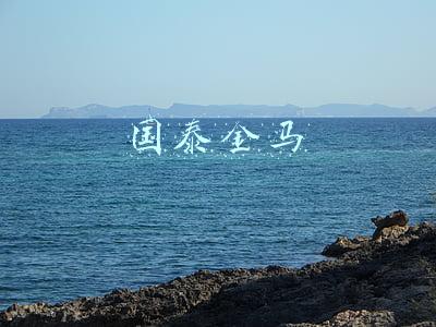 国泰金马