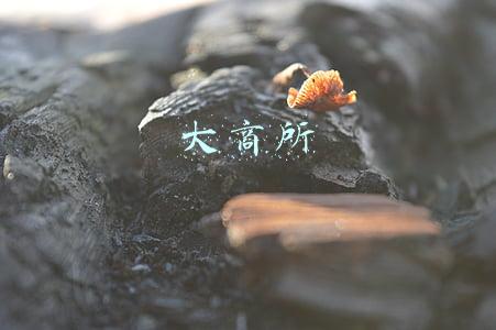 大连商品交易所(大连商品交易所党委书记、理事长冉华：《期货和衍生品法》开启期货市场高质量服务实体经济新篇章)