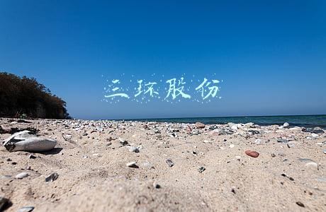 三环股份
