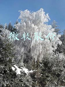 微软股价