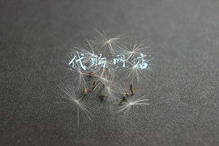 代购网店