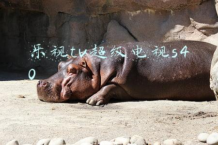 乐视tv超级电视s40