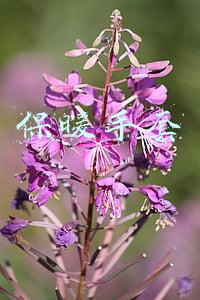 保暖手套